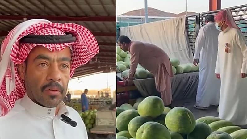 قصة عمل مواطن بحائل بين المحاماة والخضار .. فيديو