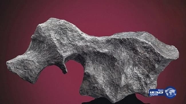 "مدني المدينة" يخمد حريقاً في مبنى سكني