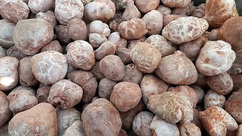"المنشآت الصغيرة والمتوسطة" توقع اتفاقية شراكة مع مدينة الملك عبدالله