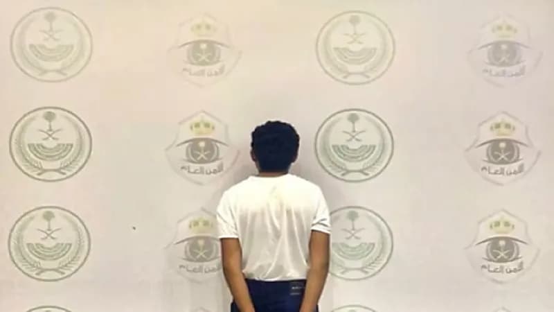 سقوط مجرمين في قبضة رجال الأمن.. فيديو