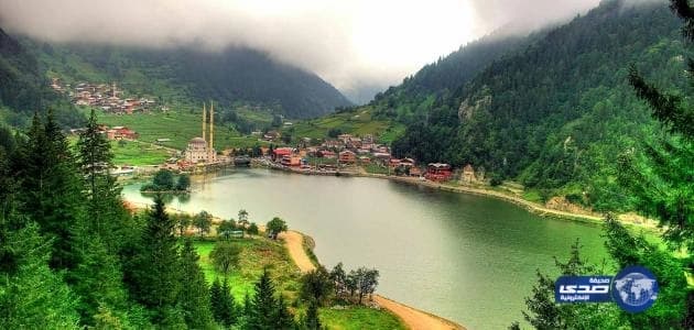 التأمينات تكشف عن شروط ضم مدد الاشتراك وفق نظام تبادل المنافع