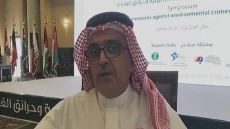 شاهد.. مختص: من السهل الوصول إلى أسباب رئيسية لحرائق الغابات في عسير