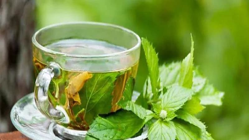 أفضل مشروب لتسطيح البطن وإذابة الدهون