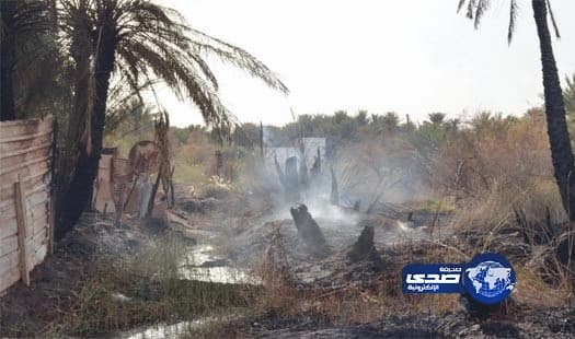 تغريم مواطن في تبوك أحرق بقايا مزرعته دون إبلاغ السلطات