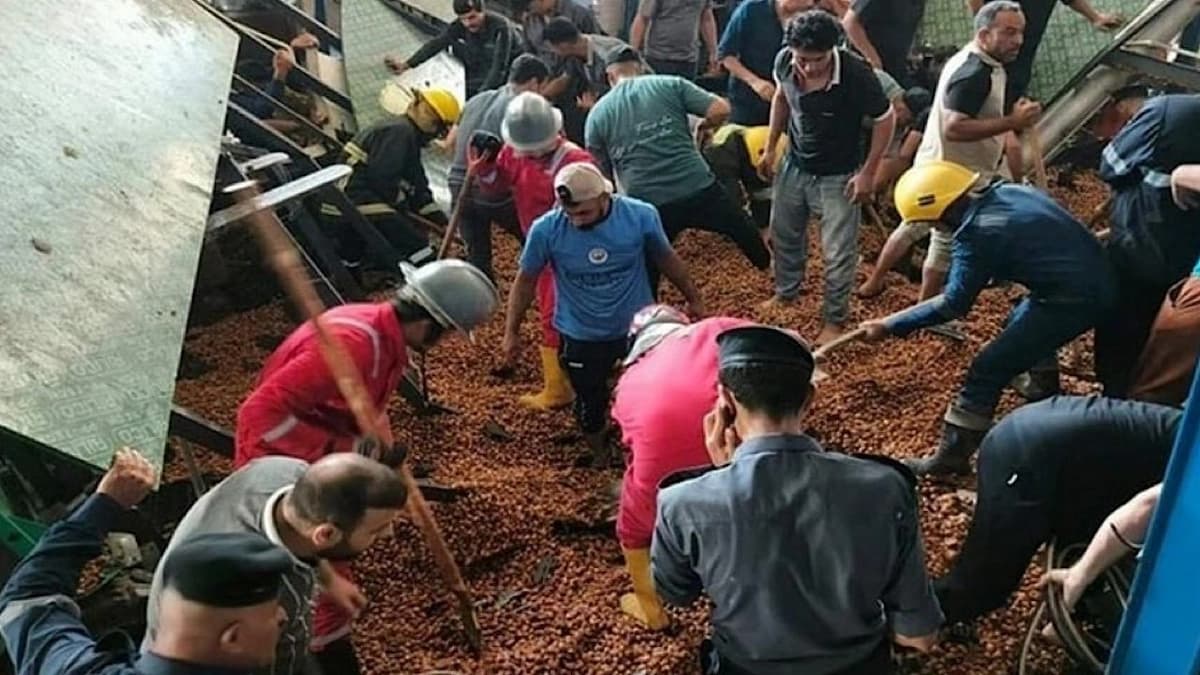 إنقاذ 4 عمال طمرتهم أطنان من التمور.. فيديو