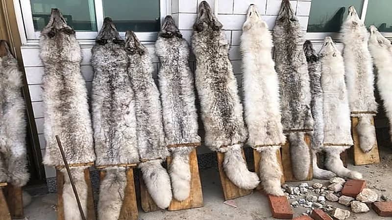 تحذير من كارثة جديدة قد تؤدي لإصابة الإنسان بموت مفاجئ