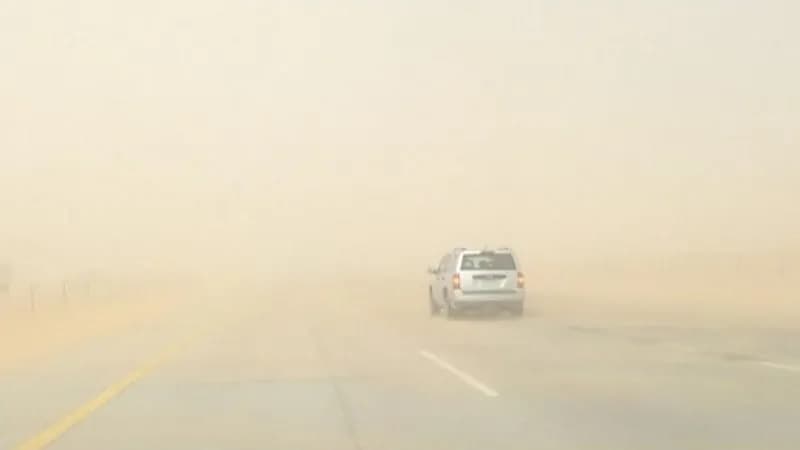 المسند يكشف عن الآثار السلبية لرياح البوارح