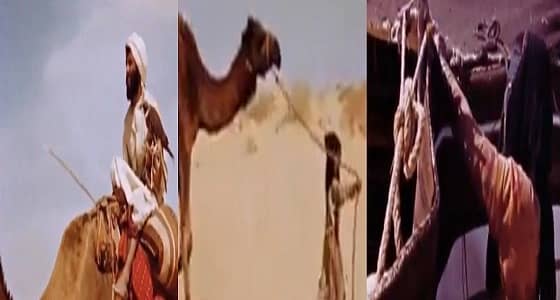 " فيديو " يبرز حياة البادية قديما بجوانبها المختلفة
