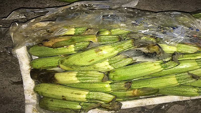 إتلاف 5 آلاف كجم خضروات وفواكه فاسدة في العاصمة المقدسة