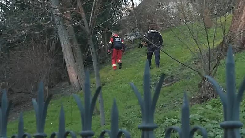 العثور على رأس امرأة مقطوعا في حديقة عامة (فيديو)