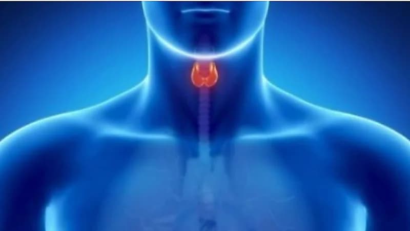 نصائح مهمة لمرضى قصور الغدة الدرقية