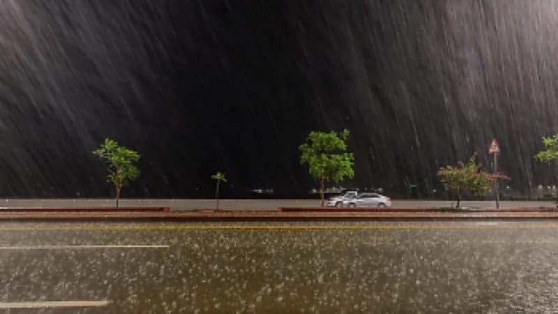 أمطار متفرقة وعواصف رعدية تضرب منطقة الباحة