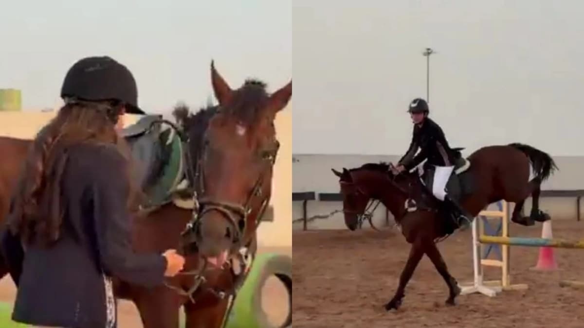 WhatsApp Image 2025-11-03 at 2.47.41 AM.jpeg