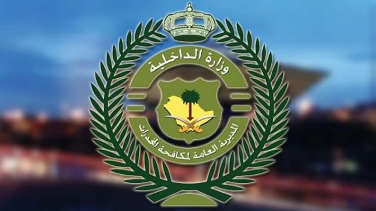 ضبط 9 مروجين للمخدرات وكميات كبيرة من المواد المخدرة بعدة مناطق.. فيديو