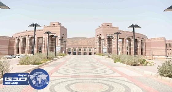 جامعة طيبة بالمدينة تطلق برنامجاً صيفياً للشباب