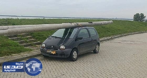 يسرق أعمدة إنارة الشوارع وينقلها بسيارته