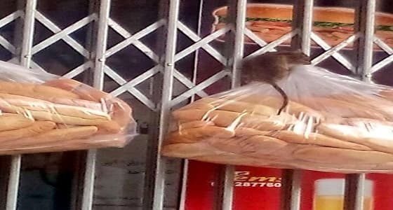 بلدية الجبيل تشن حملة على بوفية "الفئران" وتنذر مالكه