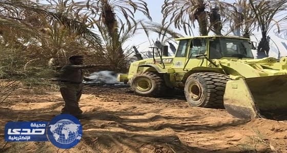 بالصور.. الدفاع المدني يسيطر على حريق بمزارع نخيل بالدواسر