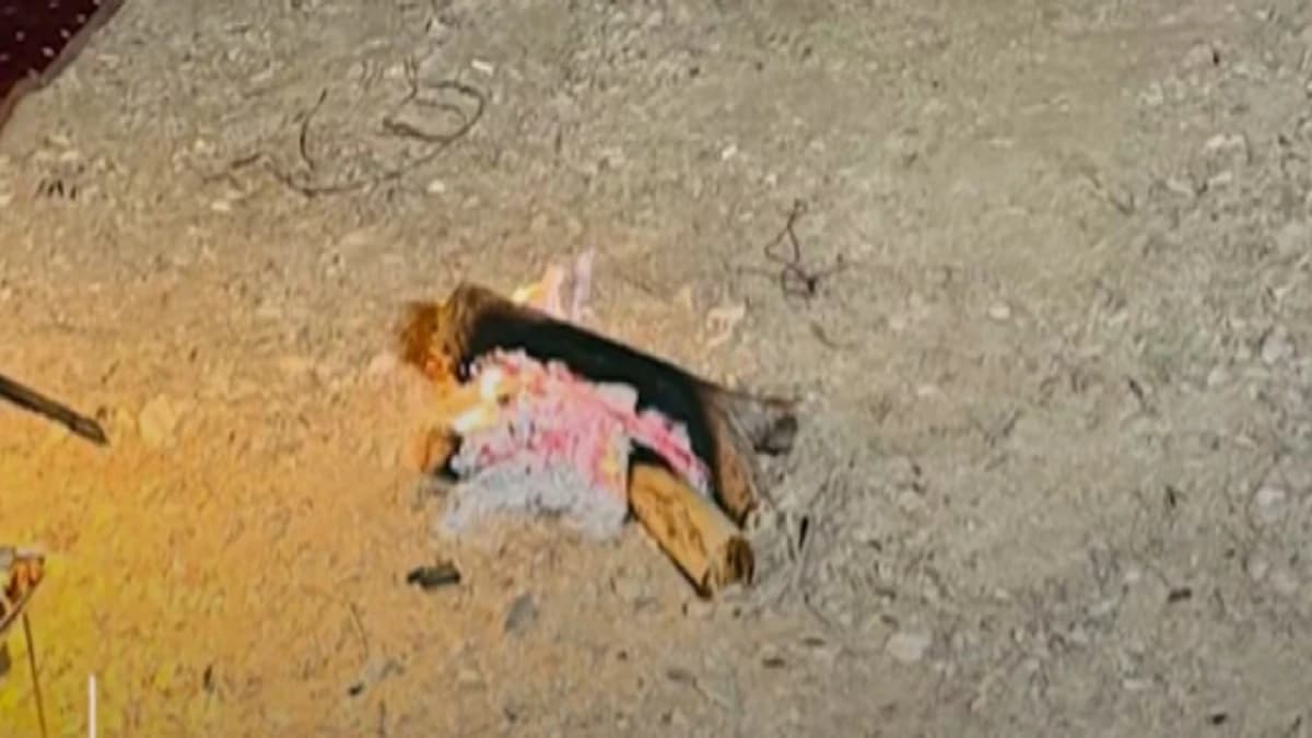 ضبط 43 مخالفًا لنظام البيئة في عدة مناطق .. فيديو