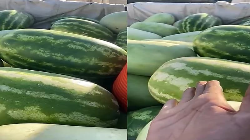 بيان من أمانة حائل بخصوص عدم السماح لمواطن بالبيع على الطريق