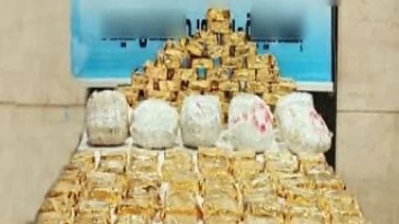 ضبط أكبر مزرعة للمخدرات بالإسماعيلية